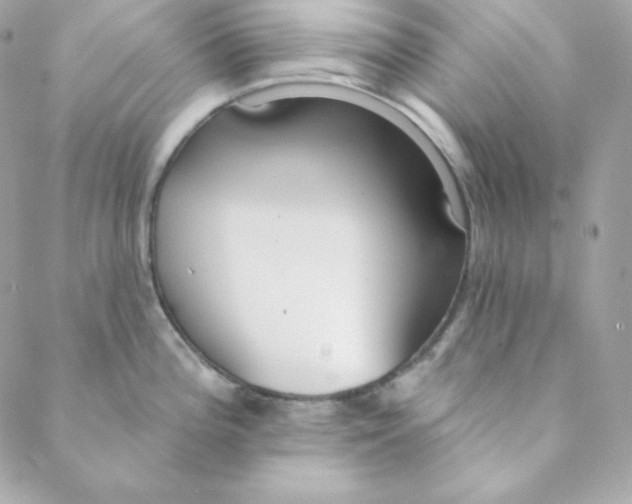 X0000088611196200706151819