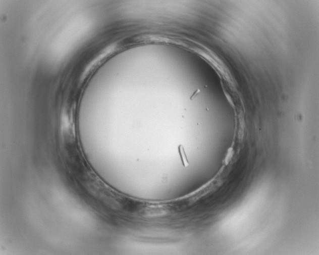 X0000088611198200706151819