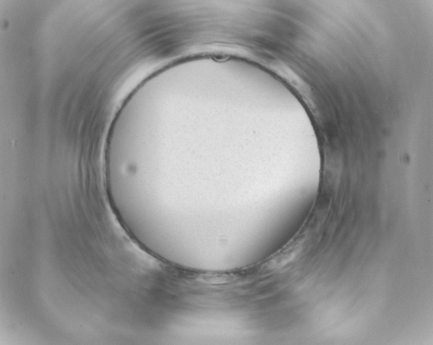 X0000088611199200706151819