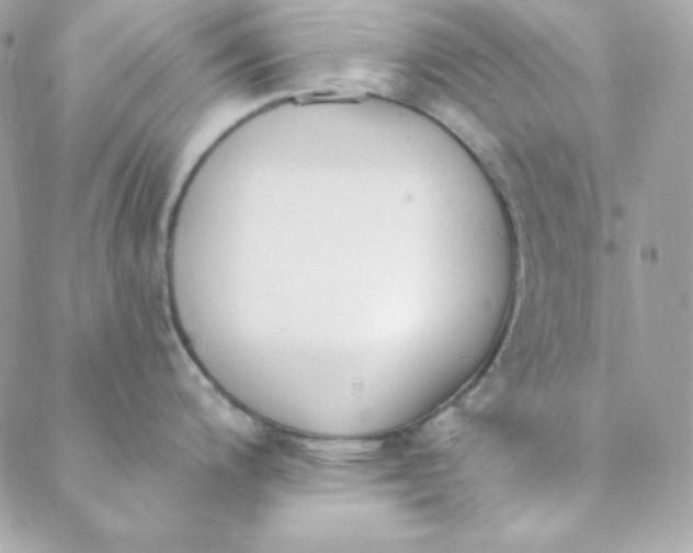 X0000088611200200706151819