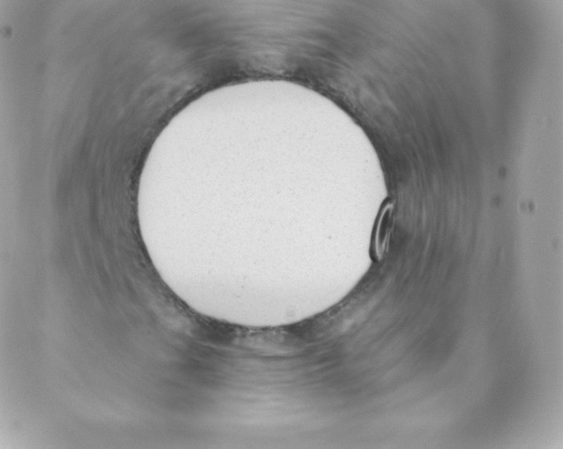 X0000088611201200706151818