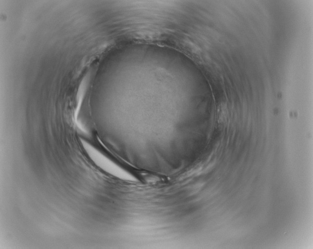 X0000088611202200706151818