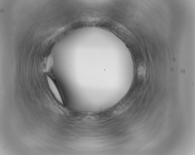 X0000088611204200706151818