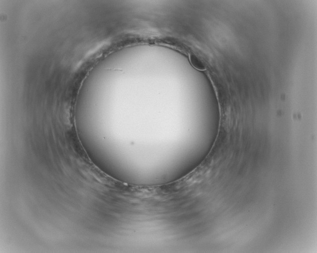 X0000088611205200706151818