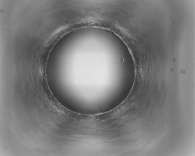 X0000088611206200706151818