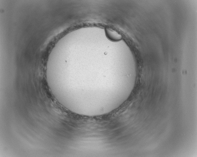 X0000088611207200706151818