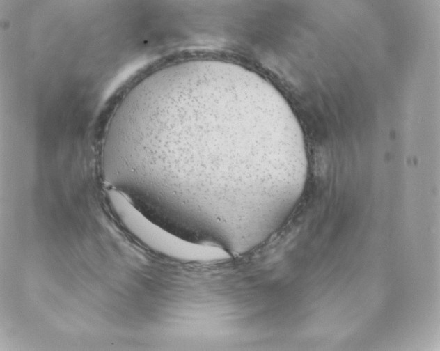 X0000088611208200706151818