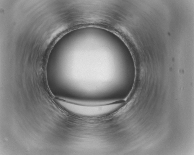 X0000088611210200706151818