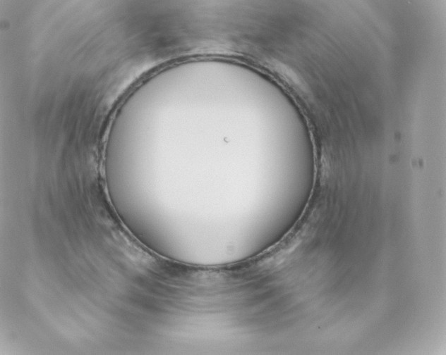 X0000088611212200706151818