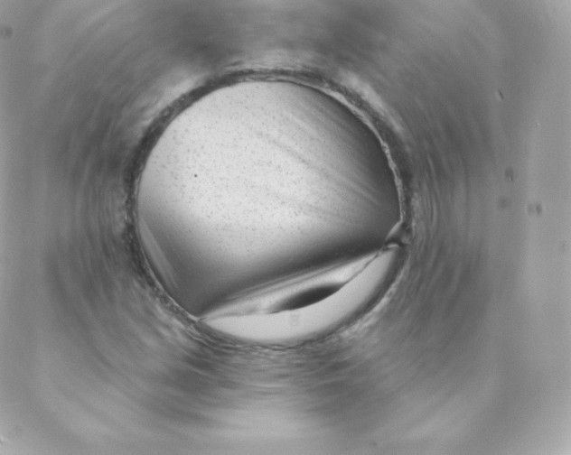 X0000088611213200706151818