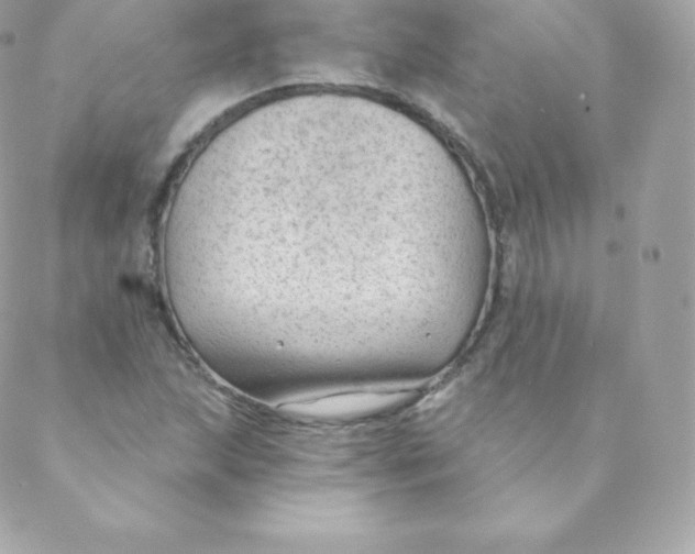 X0000088611215200706151818