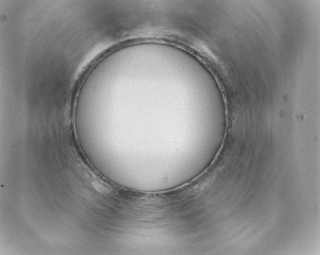 X0000088611216200706151818