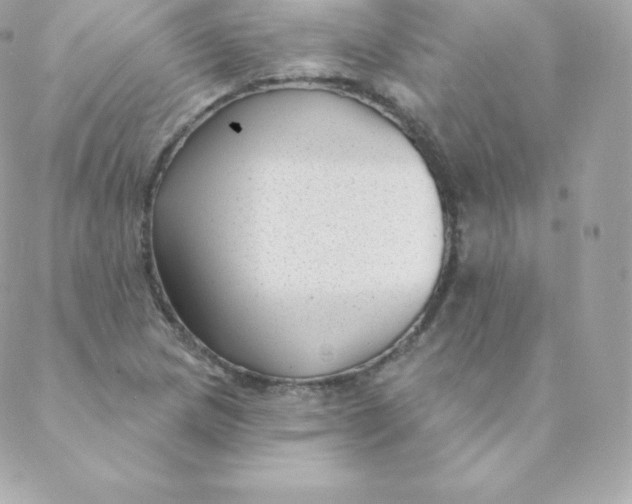 X0000088611217200706151818