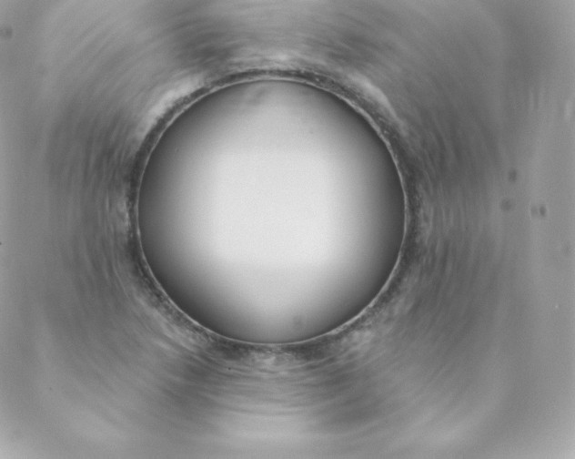 X0000088611218200706151818