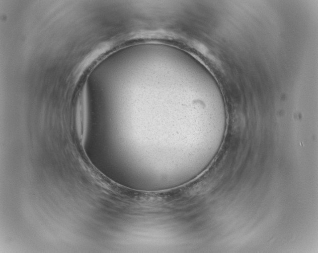 X0000088611221200706151818