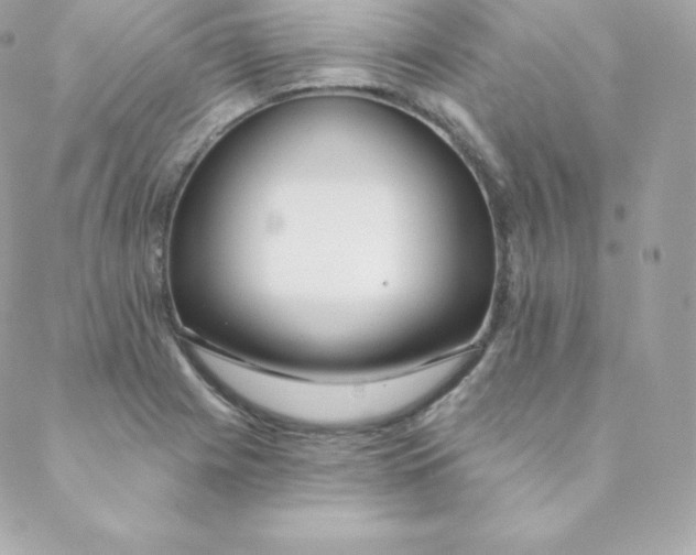 X0000088611225200706151818