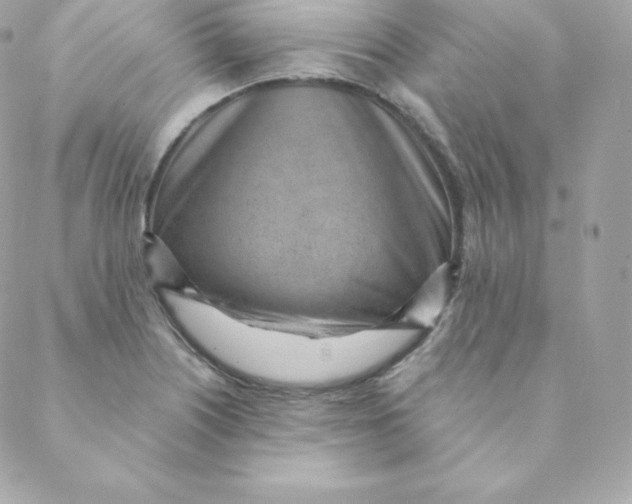 X0000088611226200706151818