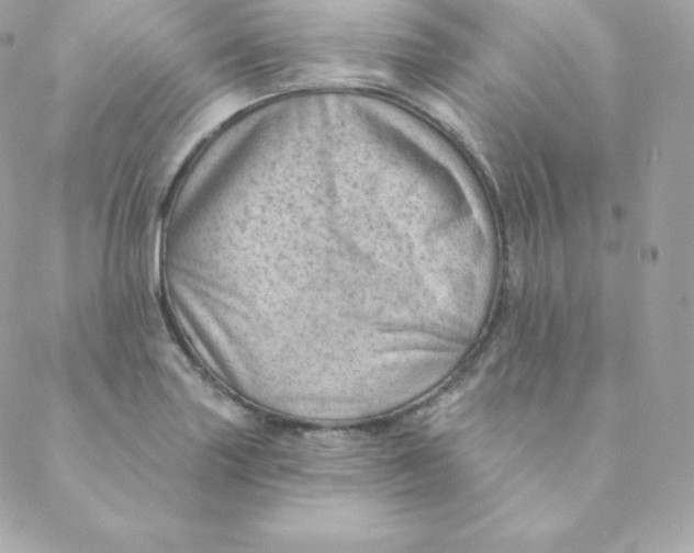 X0000088611227200706151818