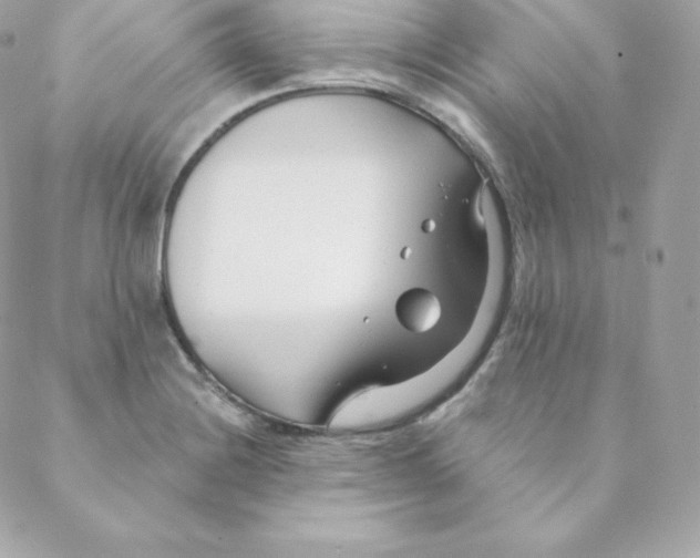 X0000088611228200706151818