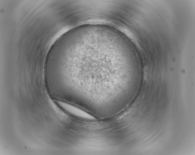 X0000088611229200706151818