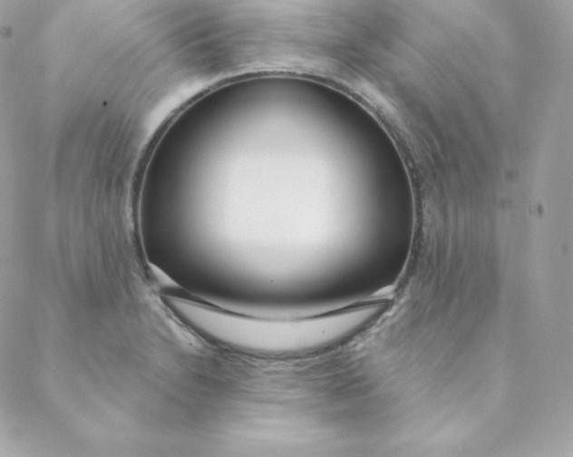 X0000088611230200706151819