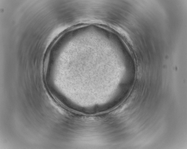 X0000088611231200706151819