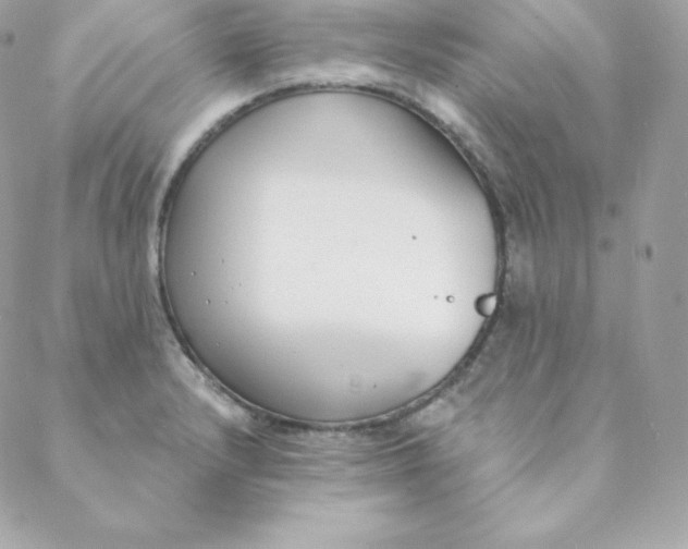 X0000088611232200706151819