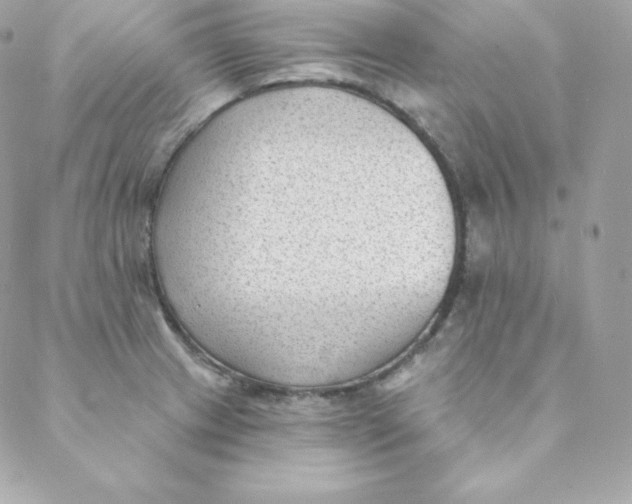 X0000088611233200706151819