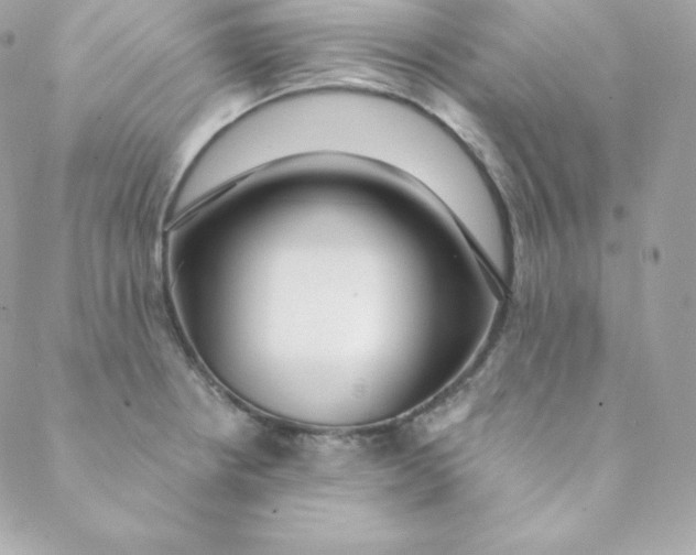 X0000088611234200706151819