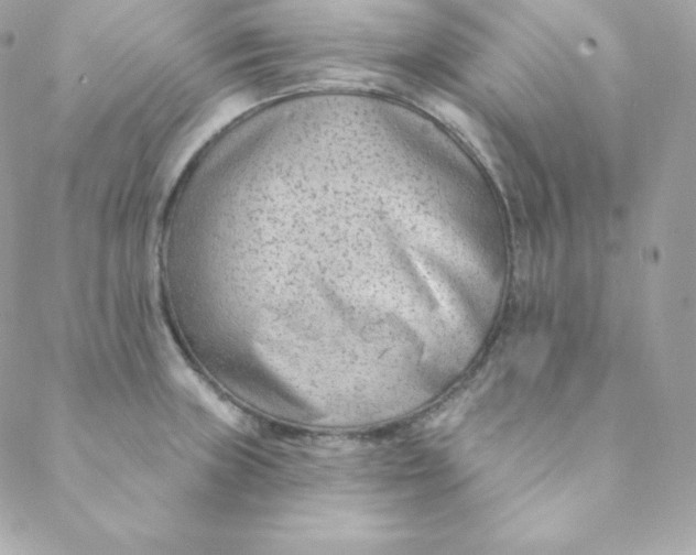 X0000088611235200706151819