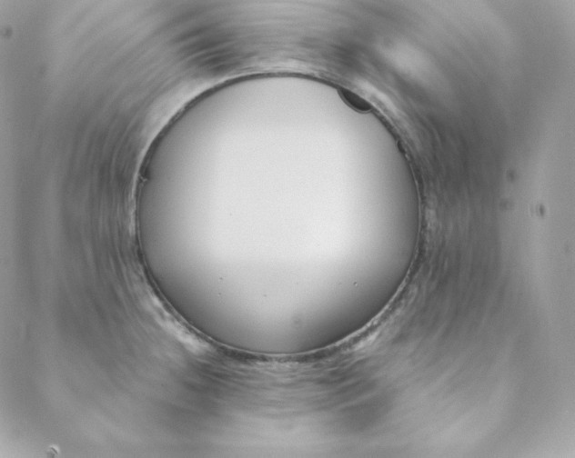 X0000088611236200706151819