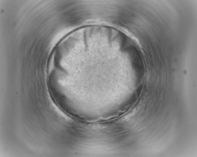 X0000088611239200706151819