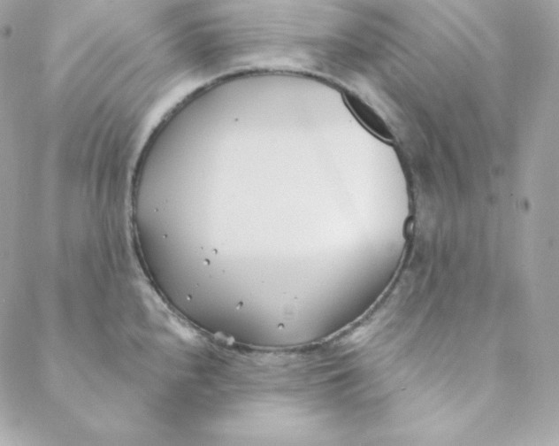 X0000088611240200706151819