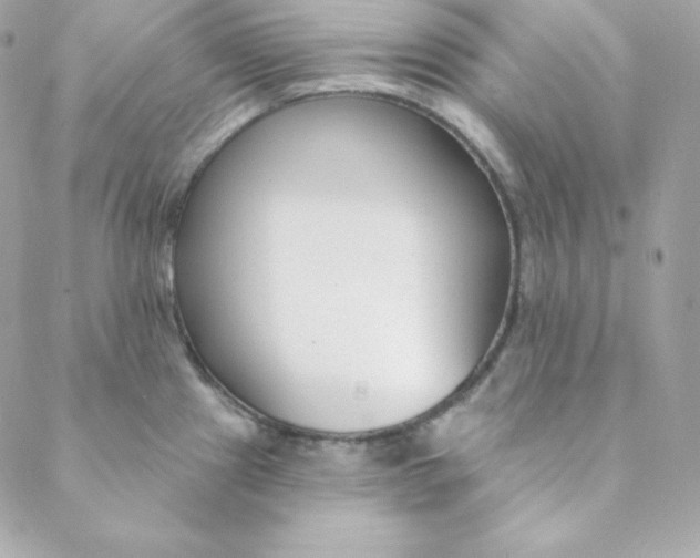 X0000088611241200706151819