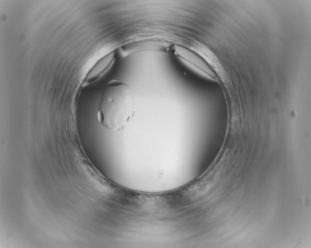 X0000088611242200706151819