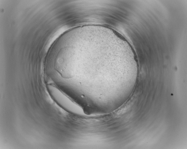 X0000088611243200706151819