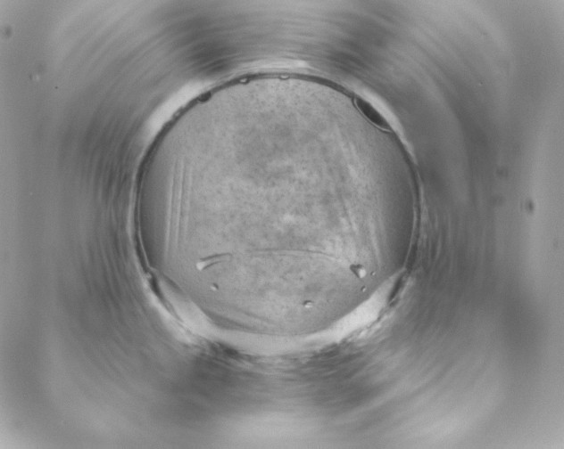 X0000088611245200706151819