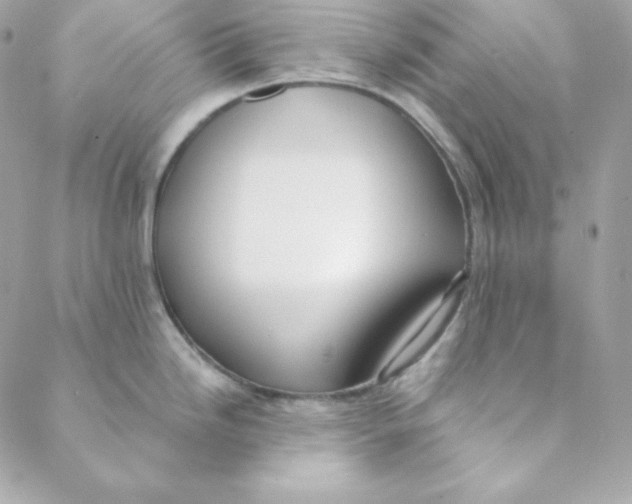 X0000088611246200706151819