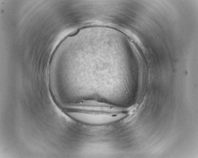 X0000088611247200706151819