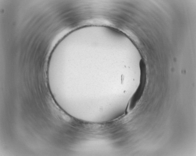 X0000088611248200706151819