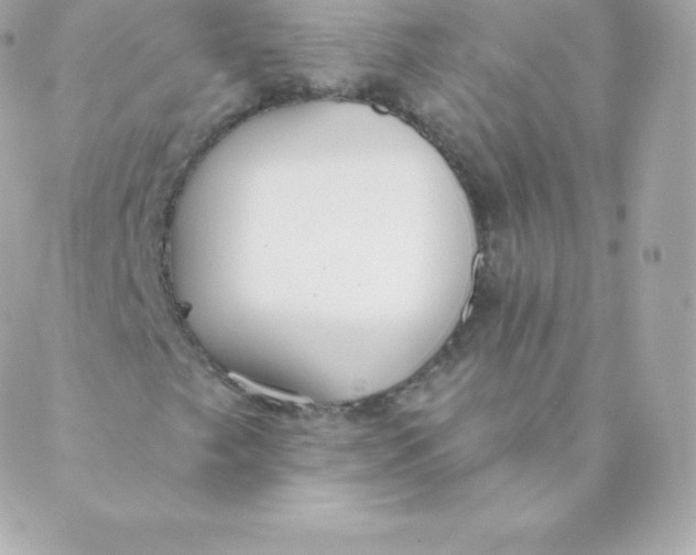 X0000088611249200706151818