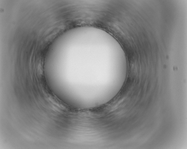 X0000088611250200706151818