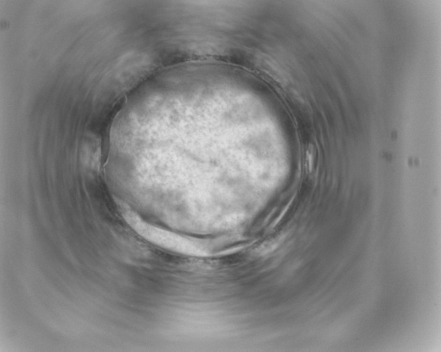 X0000088611251200706151818