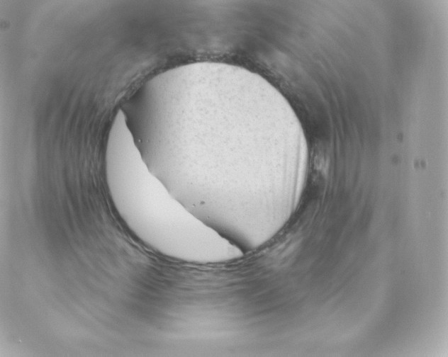 X0000088611252200706151818