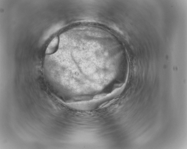 X0000088611255200706151818