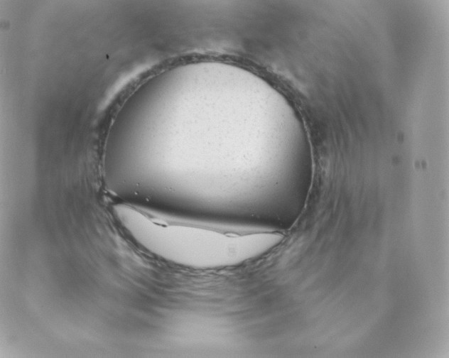 X0000088611256200706151818