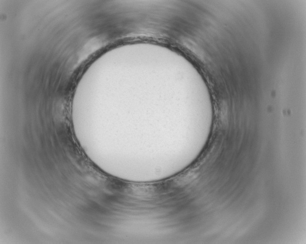 X0000088611258200706151818