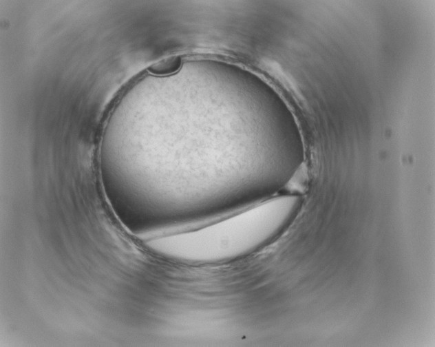 X0000088611260200706151818