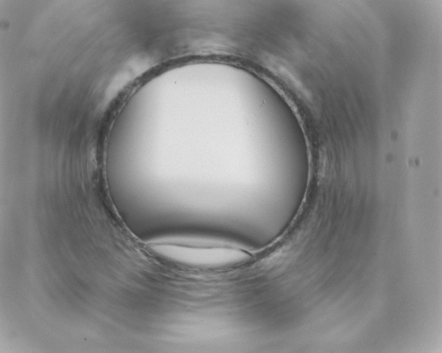 X0000088611261200706151818