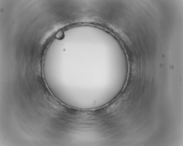 X0000088611262200706151818